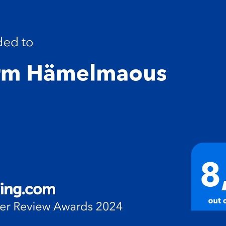 에히터나흐 Turm Haemelmaous 빌라 외부 사진